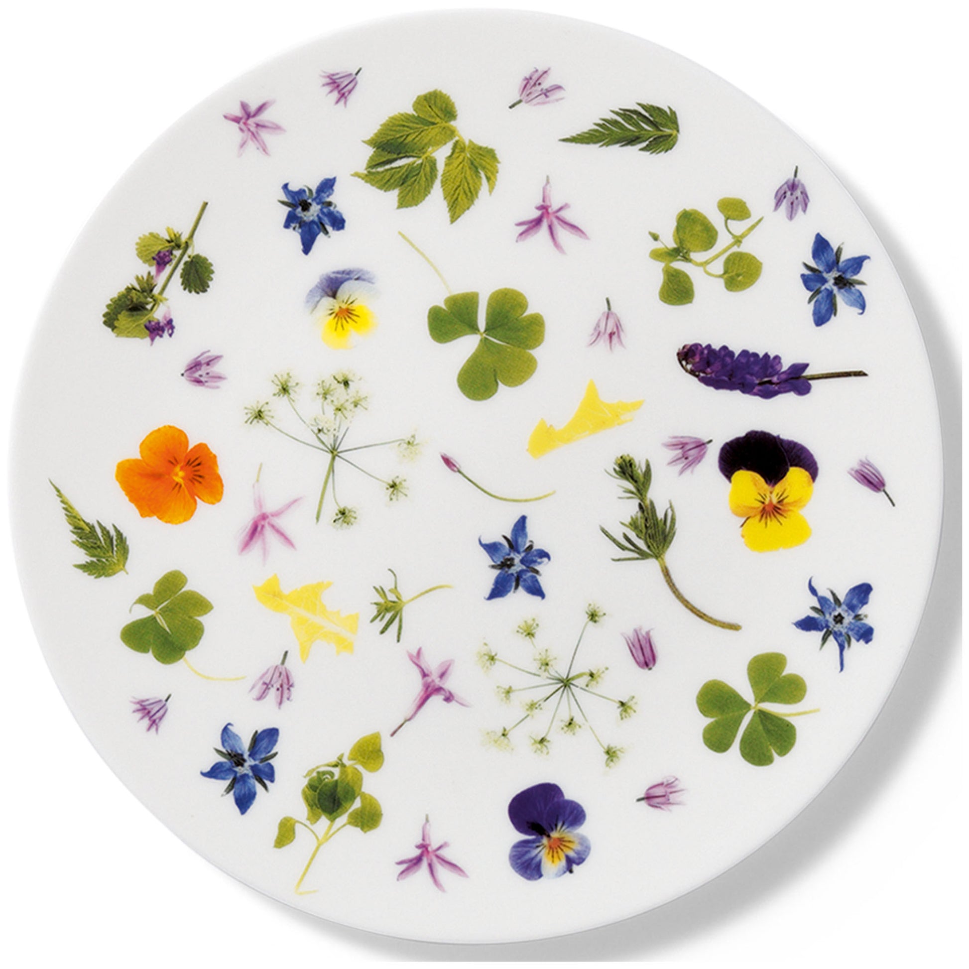 Wildkräuter (Wild Herbs) - Dessert Plate 8.3in | 21cm (Ø) | Dibbern | JANGEORGe Interiors & Furniture