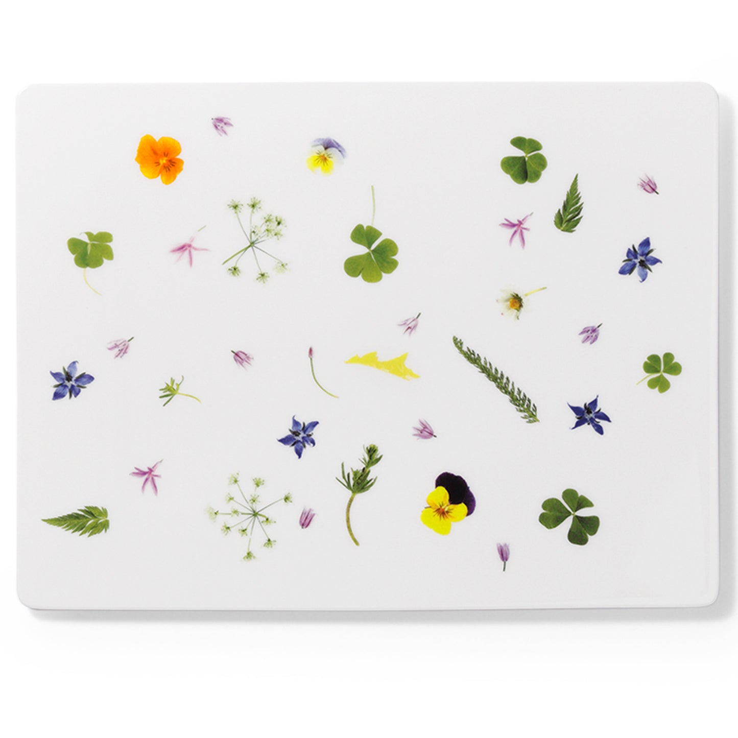 Wildkräuter (Wild Herbs) - Rectangular Platter 12.6in | 32cm (Ø) | Dibbern | JANGEORGe Interiors & Furniture