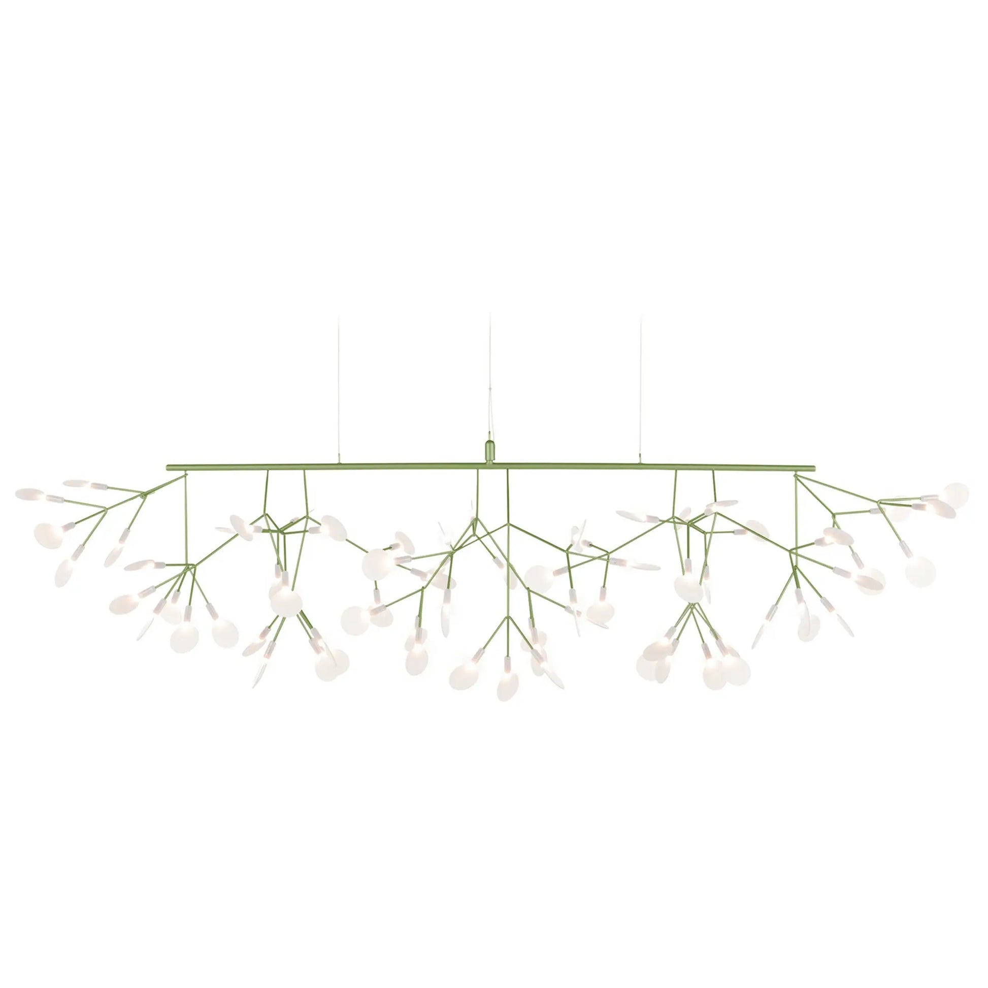 Heracleum III Linear - JANGEORGe Interiors & Furniture