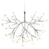 Heracleum III Suspended Moooi