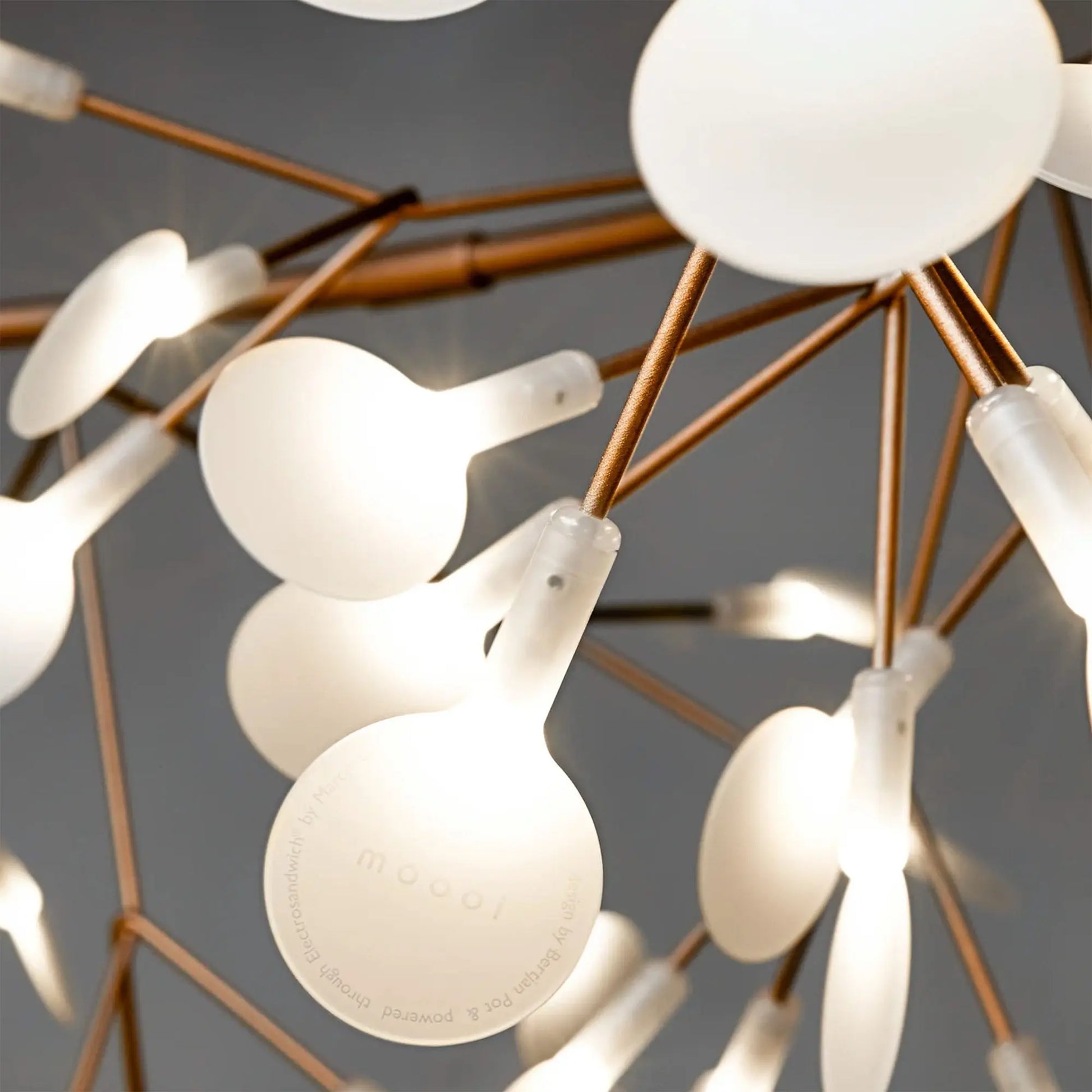 Heracleum III Suspended Moooi