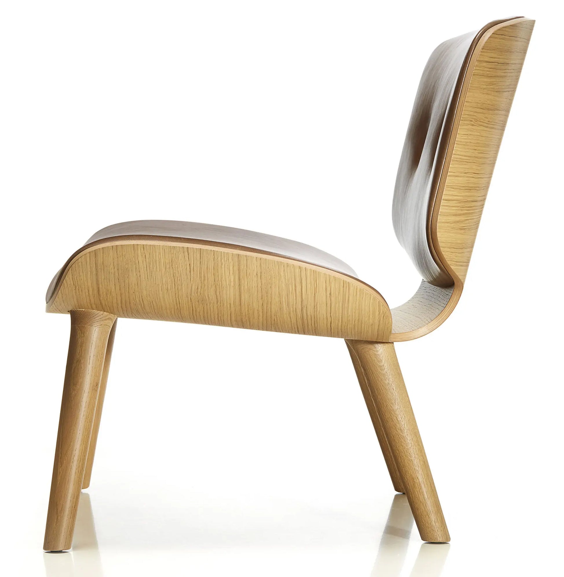 Nut Lounge Chair - Armchair - JANGEORGe Interiors & Furniture