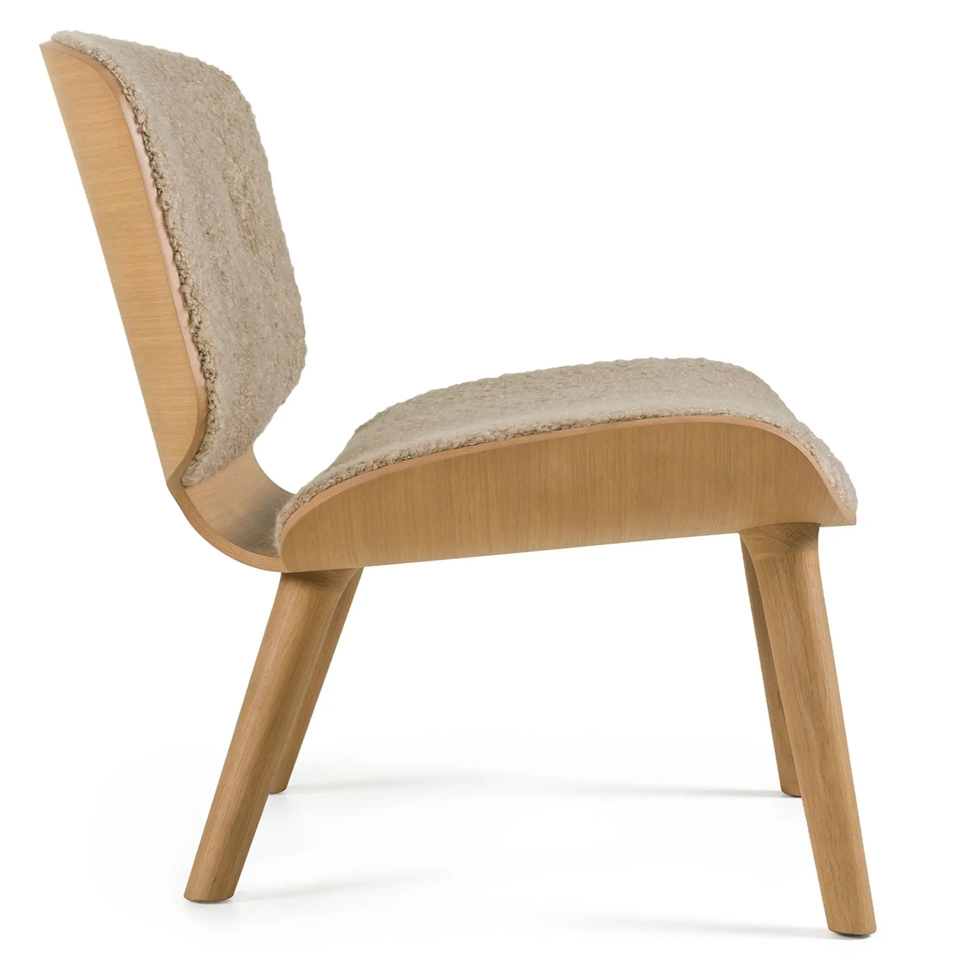 Nut Lounge Chair - Armchair - JANGEORGe Interiors & Furniture