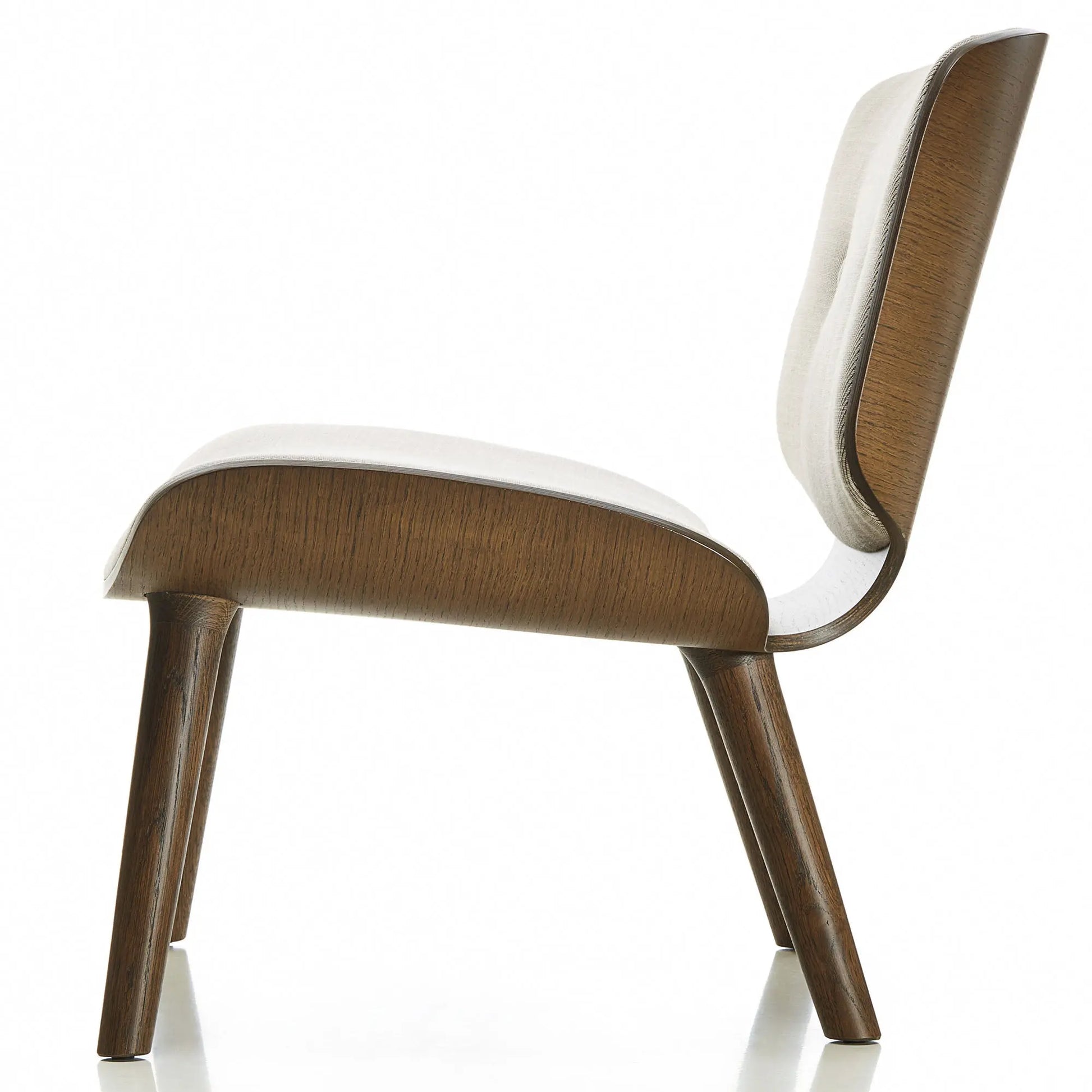 Nut Lounge Chair - Armchair - JANGEORGe Interiors & Furniture