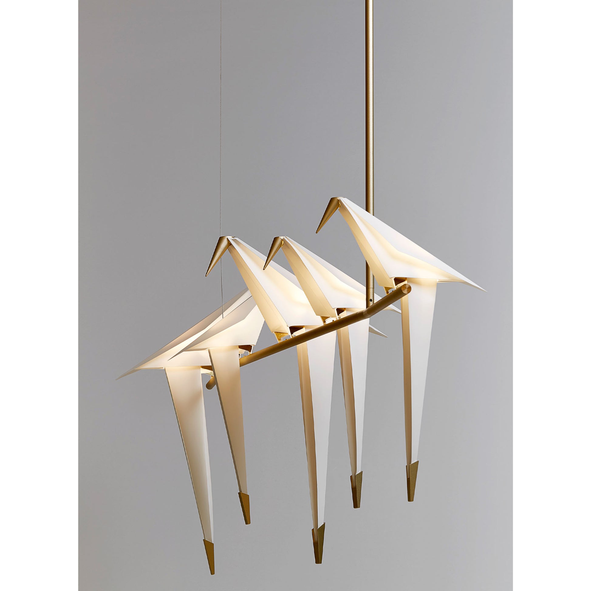 Perch Light Branch - Suspension Lamp, Large - JANGEORGe Interiors & Furniture