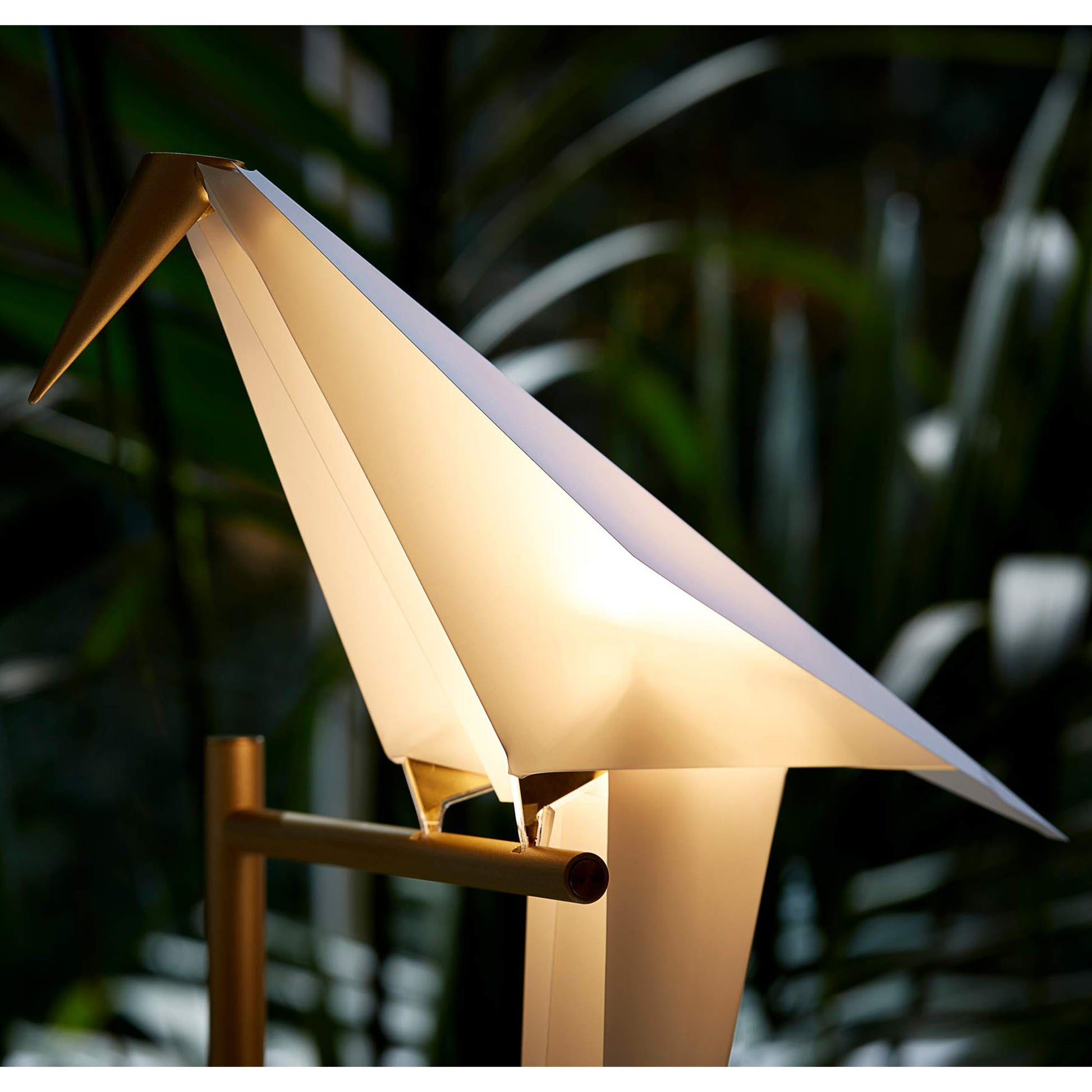 Perch Light - Floor Lamp - JANGEORGe Interiors & Furniture