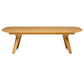 Zio - Coffee Table - JANGEORGe Interiors & Furniture