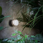 Fresnel 1148 - Outdoor Wall Lamp | Oluce | JANGEORGe Interiors & Furniture