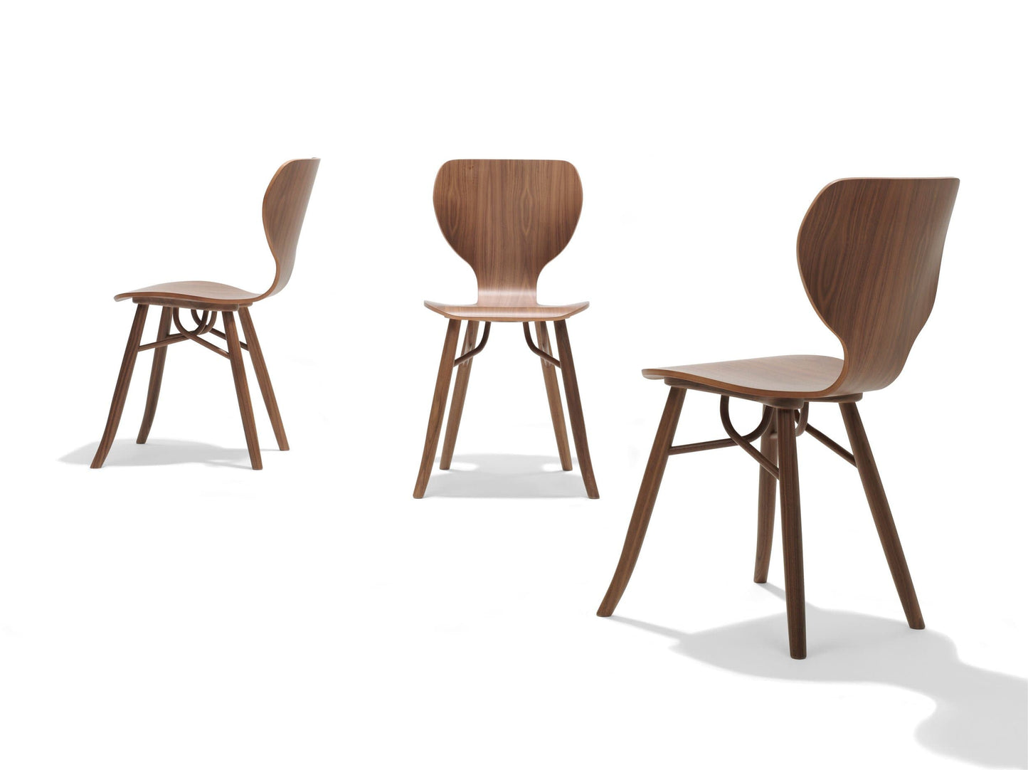 Tulipani - Dining Chair | Linteloo | JANGEORGe Interior Design