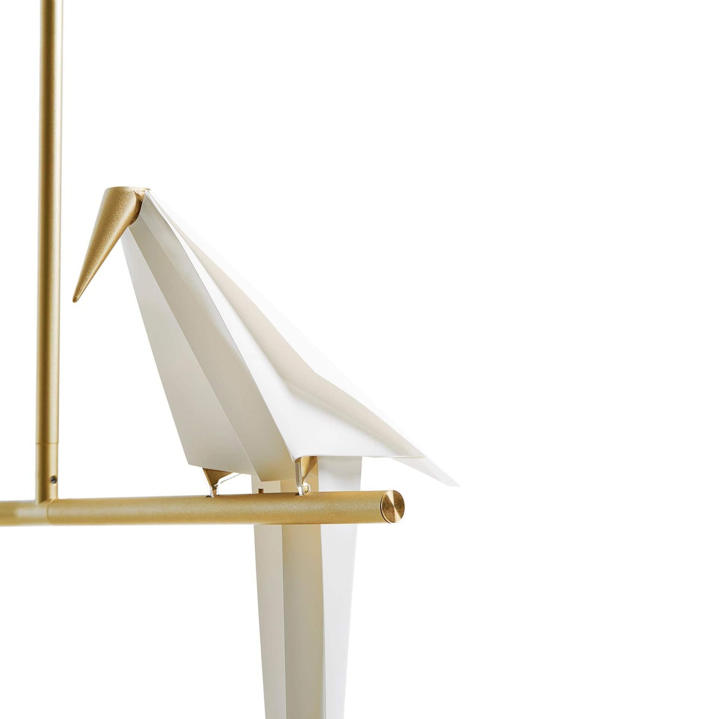 Perch Small Branch Suspension Lamp | Moooi | JANGEORGe Interior Design