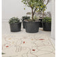 Silhouette Outdoor Rug | Nanimarquina | JANGEORGe Interior Design