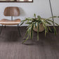 Vegetal Rug | Nanimarquina | JANGEORGe Interior Design