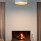 JANGEORGe Interiors & Furniture Flos Smithfield C Ceiling Lamp