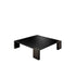 Ironwood - Low Table - JANGEORGe Interiors & Furniture